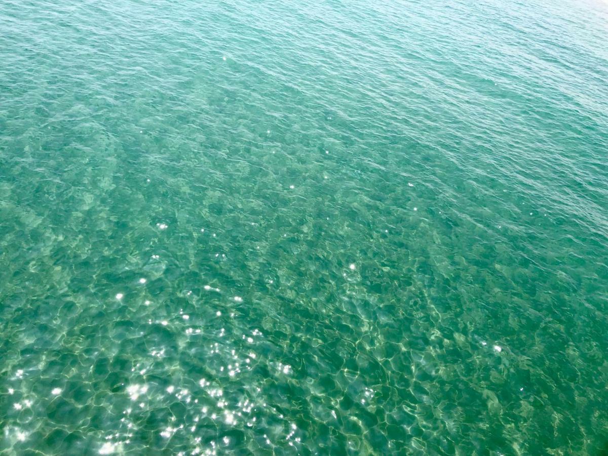 Barcaresa-Maisonnette Vue Mer Pieds Dans L'Eau Wifi Leucate Kültér fotó